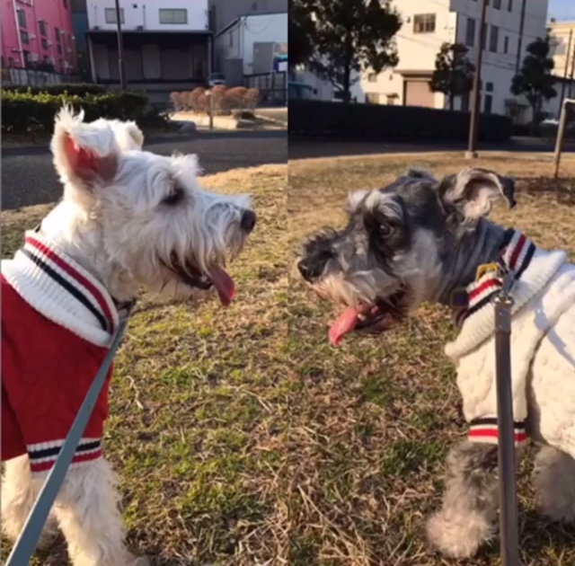 クロム君&シロム君 クロム君&シロム君