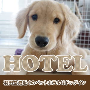 ペットホテルドッグイン羽田空港