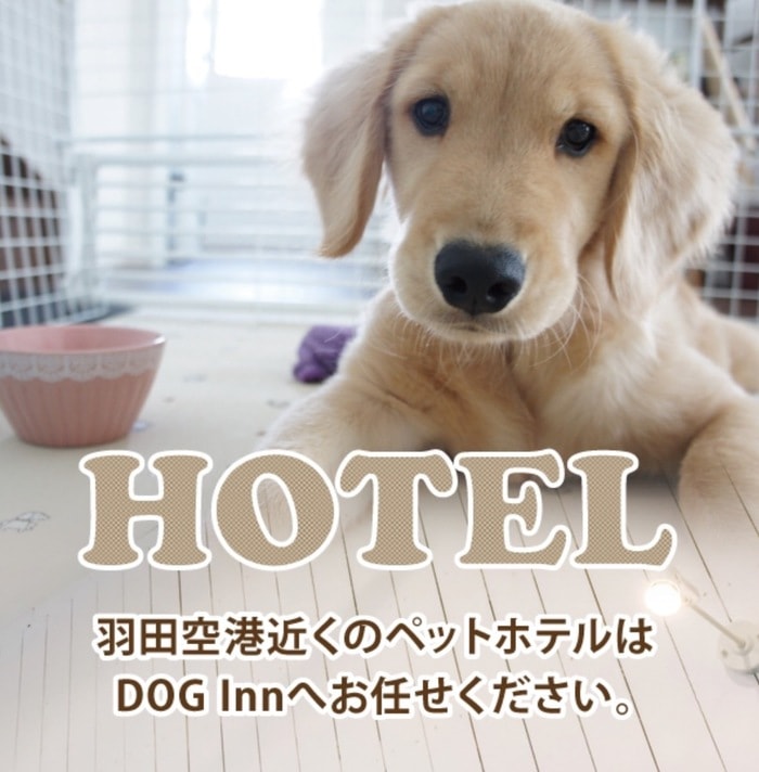 ドッグイン ドッグイン