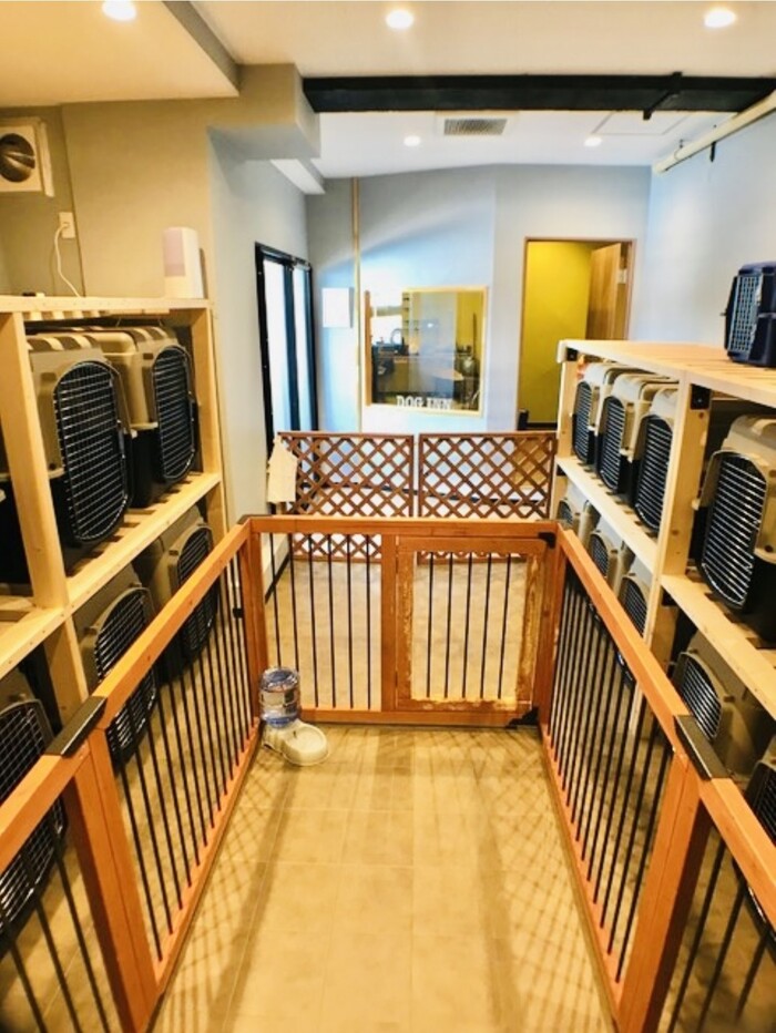 わんちゃんお部屋(スーパースイートルーム) わんちゃんお部屋(スーパースイートルーム)