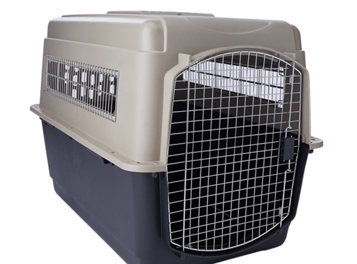 超小型犬・小型犬・中型犬・大型犬 超小型犬・小型犬・中型犬・大型犬