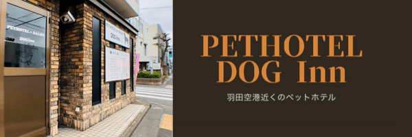 豆知識 豆知識